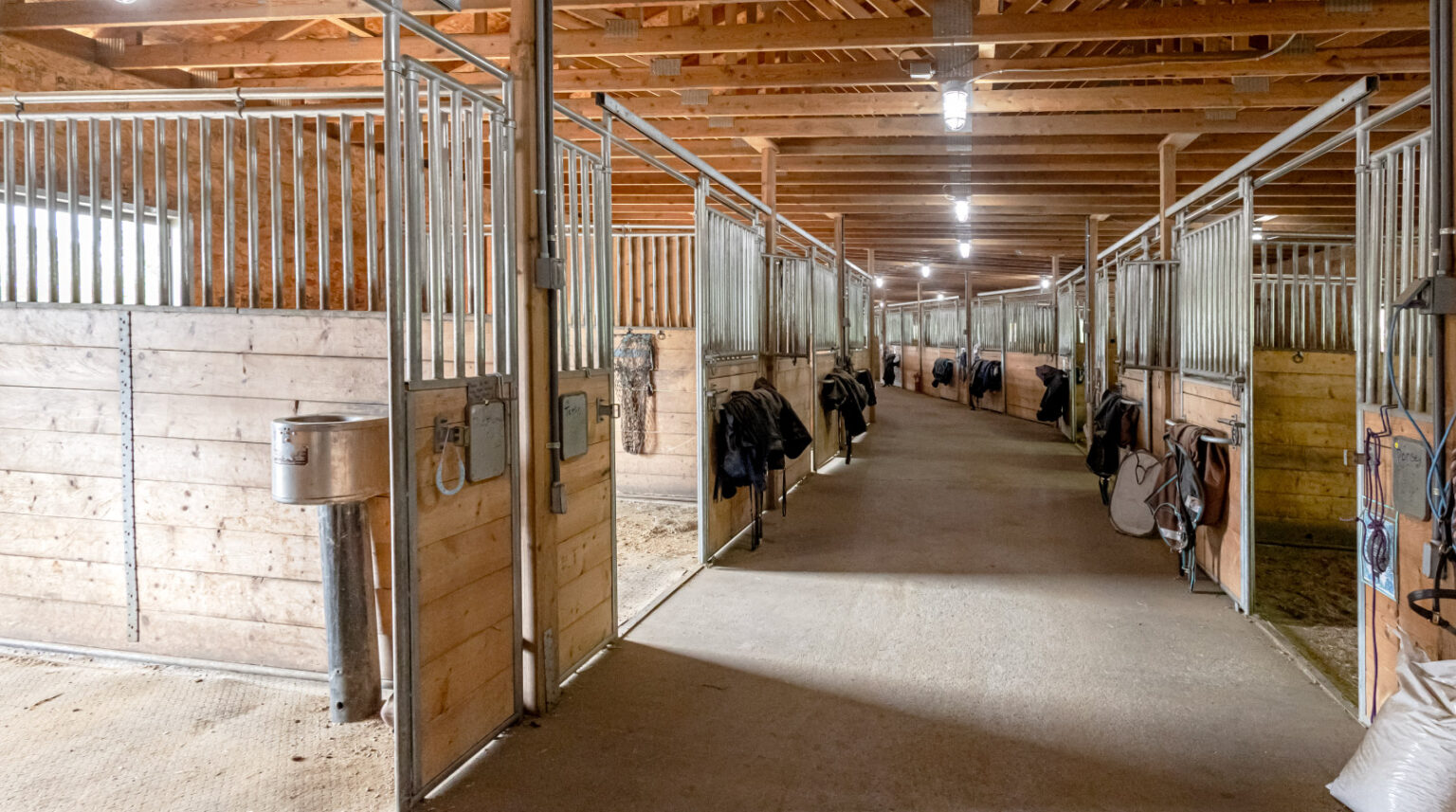 Contact Backcountry Therapeutics LLC.